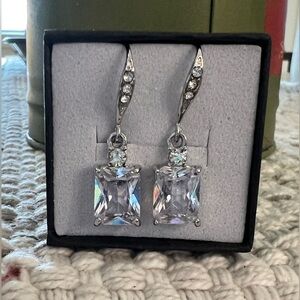 Elegant Silver Drop Earrings NIP